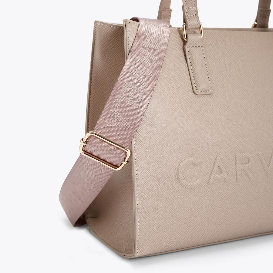 FRAME MIDI TOTE Taupe Tote Bag by CARVELA