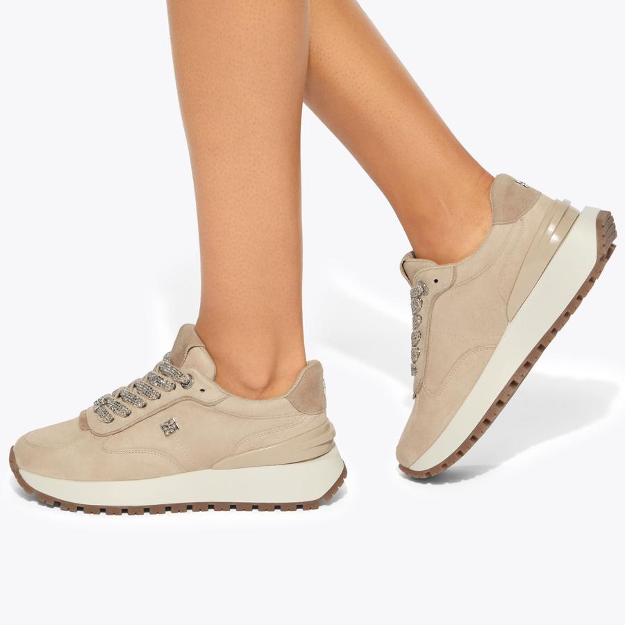 LOUISA2 Taupe Suede Lace Up Sneaker by KG Kurt Geiger