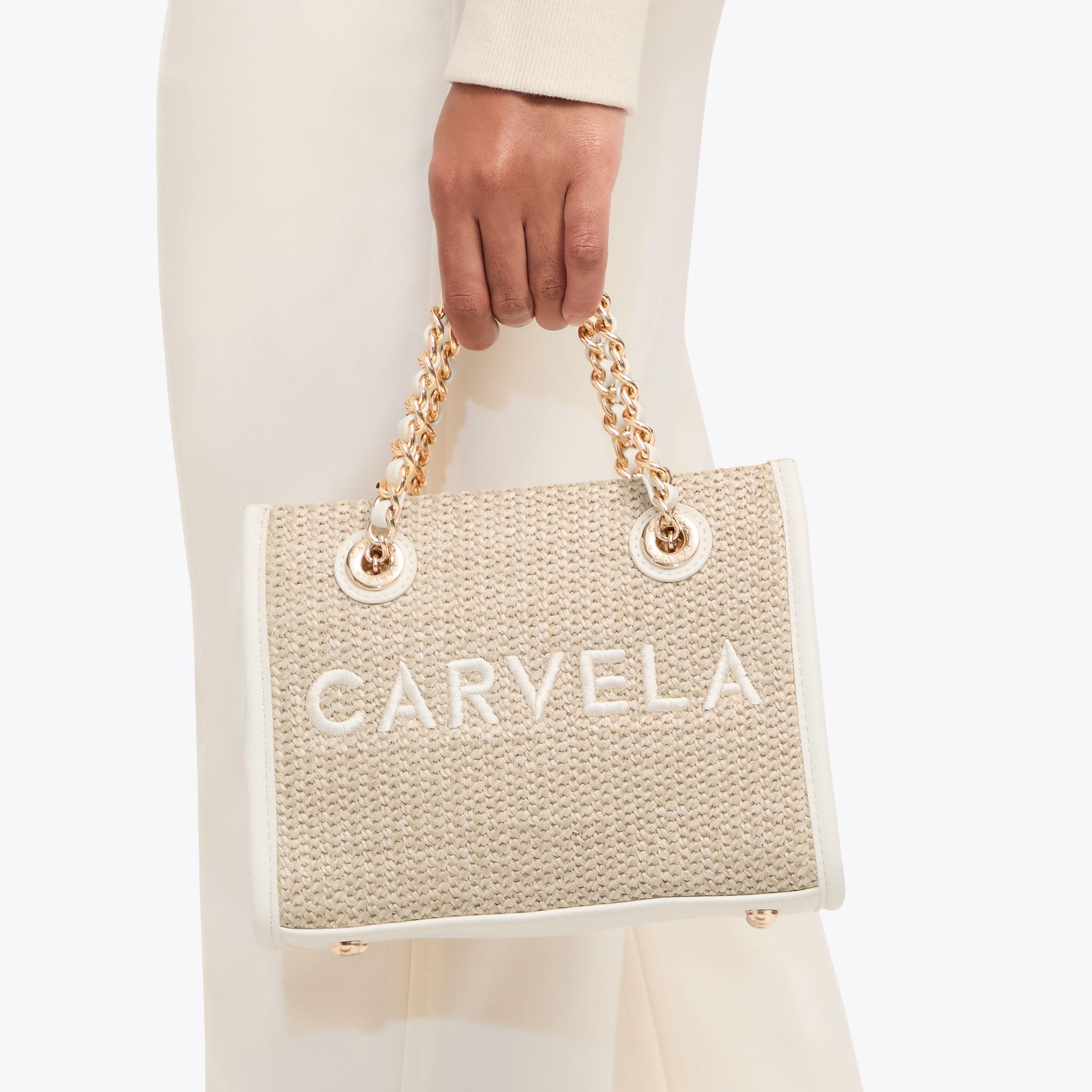 RAFFIA TOTE MICRO main image 0